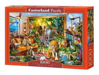 пазли castorland 1000 елементів Coming to Room 104321