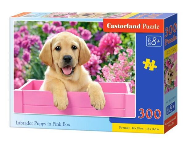 пазли castorland 300 елементів Labrador Puppy In Pink Box 030071 Ціна (цена) 235.10грн. | придбати  купити (купить) пазли castorland 300 елементів Labrador Puppy In Pink Box 030071 доставка по Украине, купить книгу, детские игрушки, компакт диски 0