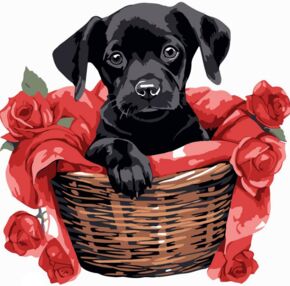 Розпис по номерах 20х20 HH8010 Чорне щеня з трояндами "Strateg"