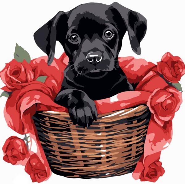 Розпис по номерах 20х20 HH8010 Чорне щеня з трояндами Strateg Ціна (цена) 132.82грн. | придбати  купити (купить) Розпис по номерах 20х20 HH8010 Чорне щеня з трояндами Strateg доставка по Украине, купить книгу, детские игрушки, компакт диски 0