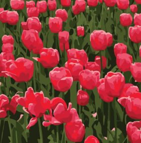 Розпис по номерах 20х20 HH8011-11 Червоні тюльпани "Strateg"