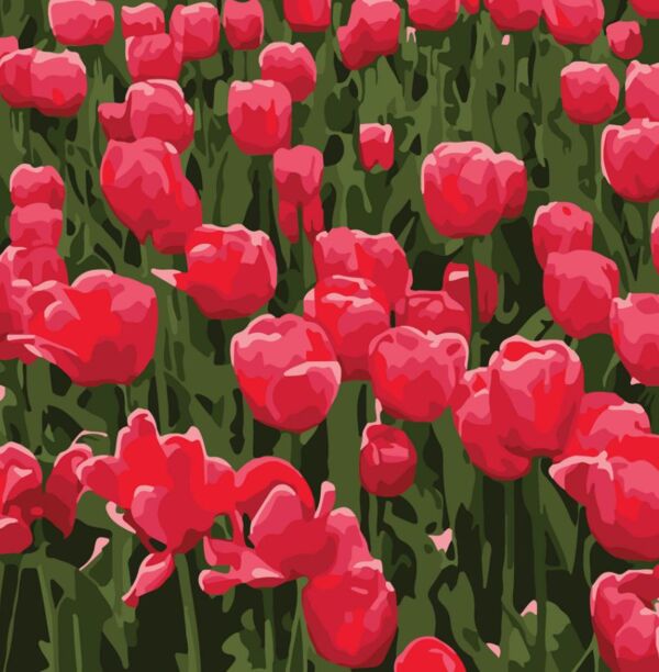 Розпис по номерах 20х20 HH8011-11 Червоні тюльпани Strateg Ціна (цена) 137.14грн. | придбати  купити (купить) Розпис по номерах 20х20 HH8011-11 Червоні тюльпани Strateg доставка по Украине, купить книгу, детские игрушки, компакт диски 0