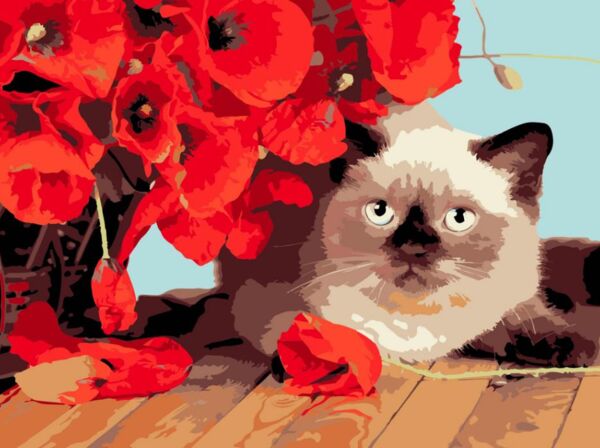 Розпис по номерах 30х40 FH-22 Кошеня серед маків на чорному фоні Strateg Ціна (цена) 271.42грн. | придбати  купити (купить) Розпис по номерах 30х40 FH-22 Кошеня серед маків на чорному фоні Strateg доставка по Украине, купить книгу, детские игрушки, компакт диски 0