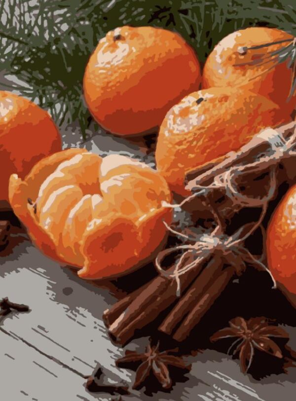 Розпис по номерах 30х40 SS1228 Мандарини з прянощами Strateg Ціна (цена) 169.34грн. | придбати  купити (купить) Розпис по номерах 30х40 SS1228 Мандарини з прянощами Strateg доставка по Украине, купить книгу, детские игрушки, компакт диски 0