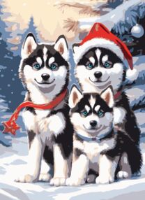 Розпис по номерах 30х40 SS1242 Хаскі в снігу "Strateg"