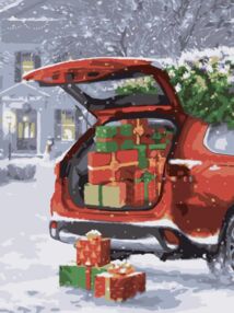 Розпис по номерах 30х40 SS1245 Святкове авто "Strateg"