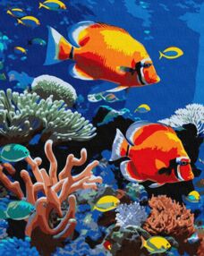 Розпис по номерах 40х50 КНО6703 Яскравий риф "Ідейка"