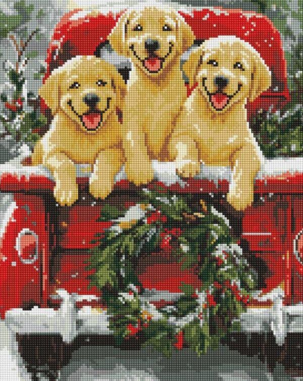 Алмазна мозаїка 40х50 АМО20006 Собача поїздка Ідейка Ціна (цена) 316.70грн. | придбати  купити (купить) Алмазна мозаїка 40х50 АМО20006 Собача поїздка Ідейка доставка по Украине, купить книгу, детские игрушки, компакт диски 0