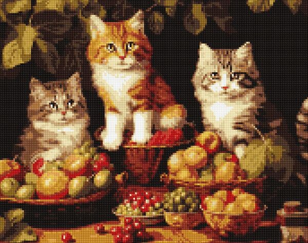 Алмазна мозаїка 40х50 АМО7940 Котики і фрукти Ідейка Ціна (цена) 237.50грн. | придбати  купити (купить) Алмазна мозаїка 40х50 АМО7940 Котики і фрукти Ідейка доставка по Украине, купить книгу, детские игрушки, компакт диски 0