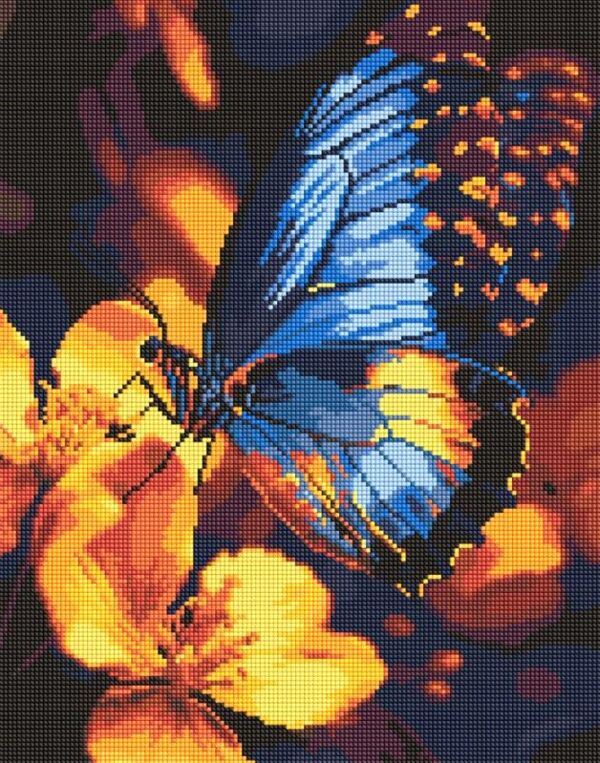 Алмазна мозаїка 40х50 АМО8287 Мерехтіння крил Ідейка Ціна (цена) 316.70грн. | придбати  купити (купить) Алмазна мозаїка 40х50 АМО8287 Мерехтіння крил Ідейка доставка по Украине, купить книгу, детские игрушки, компакт диски 0