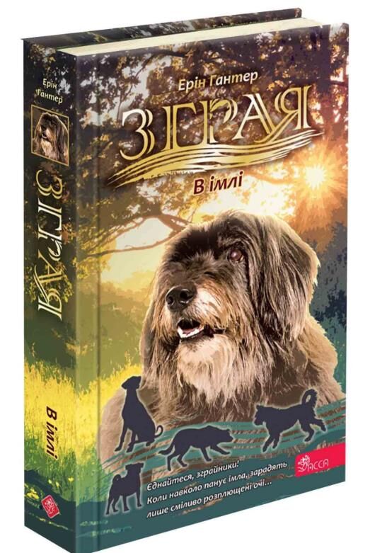 зграя в імлі книга 9 Ціна (цена) 271.90грн. | придбати  купити (купить) зграя в імлі книга 9 доставка по Украине, купить книгу, детские игрушки, компакт диски 0