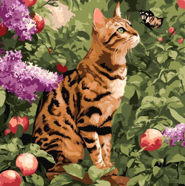 Розпис по номерах 40х40 КНО6794 Бенгальський кіт  Ідейка Ціна (цена) 207.00грн. | придбати  купити (купить) Розпис по номерах 40х40 КНО6794 Бенгальський кіт  Ідейка доставка по Украине, купить книгу, детские игрушки, компакт диски 0