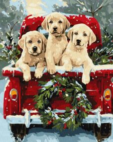 Розпис по номерах 40х50 КНО6838 Собача поїздка "Ідейка"