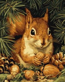 Розпис по номерах 40х50 КНО6843 Білочка та горішки "Ідейка"