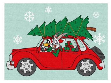 Розпис по номерах 30х40 КНО6861 WB Bugs and Daffy "Ідейка