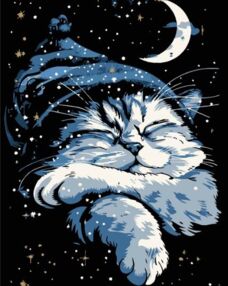 Розпис по номерах 40х50 AH1170-8 Кіт уві сні на чорному фоні "Strateg"
