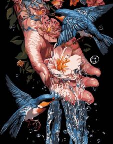 Розпис по номерах 40х50 AH1204-17 Сині птахи на чорному фоні "Strateg"