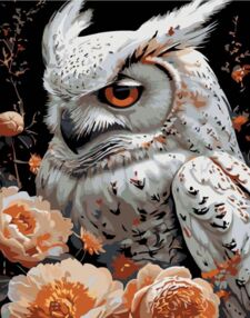 Розпис по номерах 40х50 AH1239 Зимова пташка на чорному фоні "Strateg"