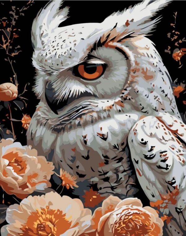 Розпис по номерах 40х50 AH1237 Сова на чорному фоні Strateg Ціна (цена) 254.36грн. | придбати  купити (купить) Розпис по номерах 40х50 AH1237 Сова на чорному фоні Strateg доставка по Украине, купить книгу, детские игрушки, компакт диски 0