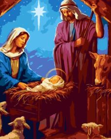 Розпис по номерах 40х50 VG012 Свята ніч "Strateg"