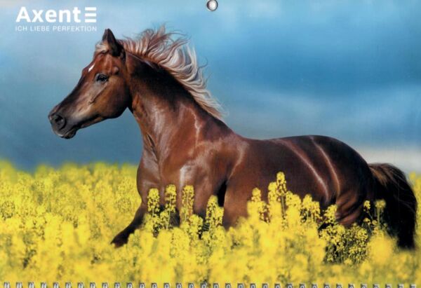 Календар 2026 настінний перекидний КВАРТАЛЬНИЙ 3 пружини 8803-26-A Axent Ціна (цена) 89.60грн. | придбати  купити (купить) Календар 2026 настінний перекидний КВАРТАЛЬНИЙ 3 пружини 8803-26-A Axent доставка по Украине, купить книгу, детские игрушки, компакт диски 1