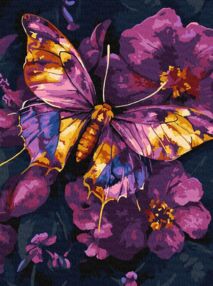 Розпис по номерах 30х40 КН06692 Золотий метелик з фарбами металік "Ідейка"