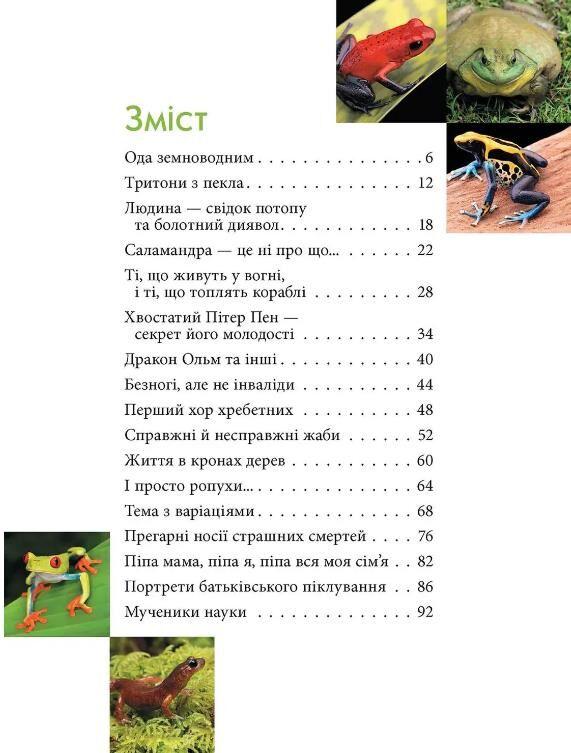 енц для допитл АМФІБІІ загадковий світ формат А-5 Ціна (цена) 105.60грн. | придбати  купити (купить) енц для допитл АМФІБІІ загадковий світ формат А-5 доставка по Украине, купить книгу, детские игрушки, компакт диски 1