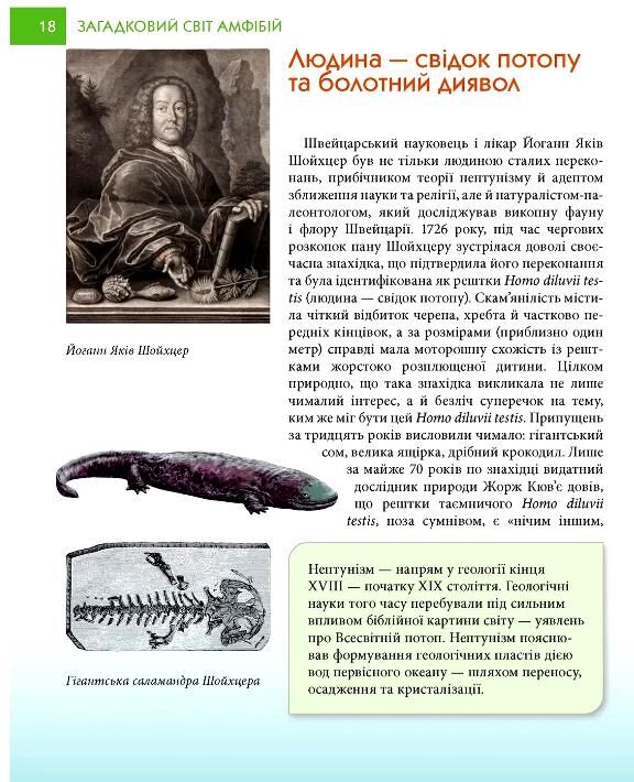 енц для допитл АМФІБІІ загадковий світ формат А-5 Ціна (цена) 105.60грн. | придбати  купити (купить) енц для допитл АМФІБІІ загадковий світ формат А-5 доставка по Украине, купить книгу, детские игрушки, компакт диски 2