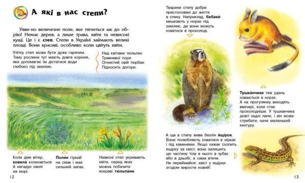 Енциклопедія дошкільника Україна Ціна (цена) 66.00грн. | придбати  купити (купить) Енциклопедія дошкільника Україна доставка по Украине, купить книгу, детские игрушки, компакт диски 3