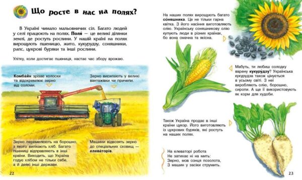 Енциклопедія дошкільника Україна Ціна (цена) 66.00грн. | придбати  купити (купить) Енциклопедія дошкільника Україна доставка по Украине, купить книгу, детские игрушки, компакт диски 4