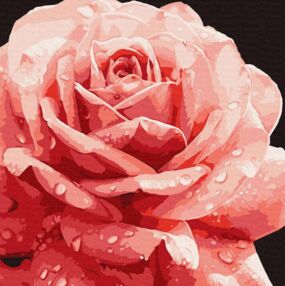 Розпис по номерах Досконала троянда 40х40 KHO3236