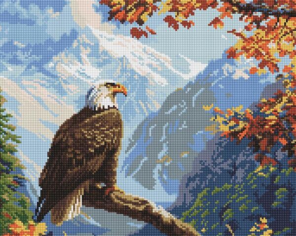 Алмазна мозаїка Вершинний страж 40х50 AMO8078 Ціна (цена) 299.20грн. | придбати  купити (купить) Алмазна мозаїка Вершинний страж 40х50 AMO8078 доставка по Украине, купить книгу, детские игрушки, компакт диски 0