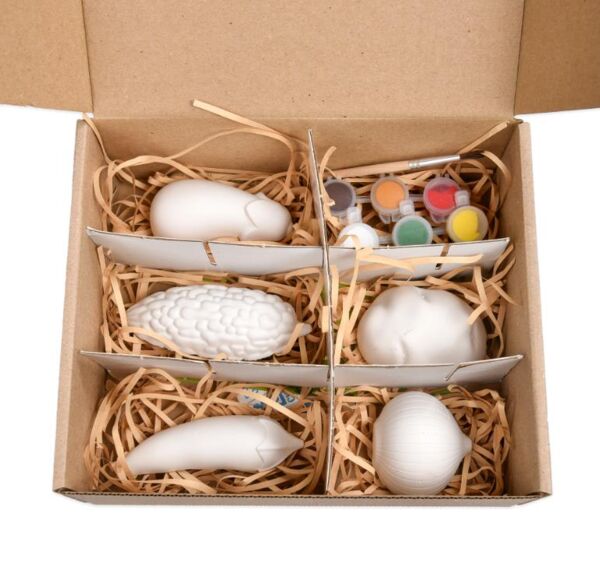 Набір для творчості гіпсові розмальовки розфарбуй овочі 31000 Ціна (цена) 186.53грн. | придбати  купити (купить) Набір для творчості гіпсові розмальовки розфарбуй овочі 31000 доставка по Украине, купить книгу, детские игрушки, компакт диски 3