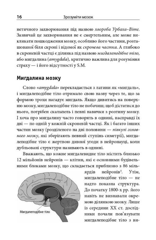 Зрозуміти мозок Нейронаукові дослідження механізмів роботи мозку і його викрутасів Ціна (цена) 399.70грн. | придбати  купити (купить) Зрозуміти мозок Нейронаукові дослідження механізмів роботи мозку і його викрутасів доставка по Украине, купить книгу, детские игрушки, компакт диски 9