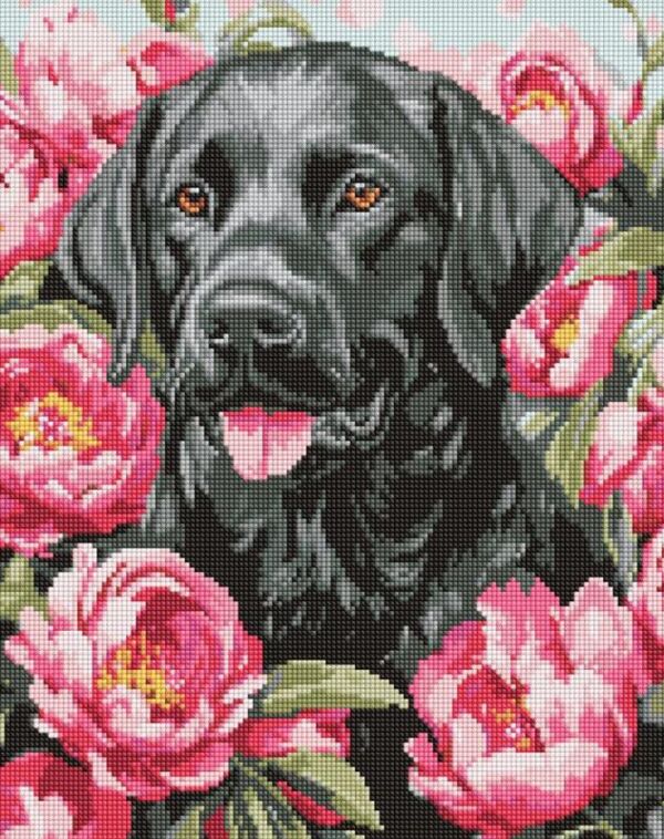 Алмазна мозаїка 40х50 АМO20084 Собака у півоніях Ідейка Ціна (цена) 340.00грн. | придбати  купити (купить) Алмазна мозаїка 40х50 АМO20084 Собака у півоніях Ідейка доставка по Украине, купить книгу, детские игрушки, компакт диски 0