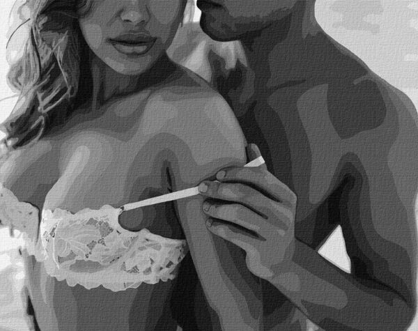 Розпис по номерах 40х50 KHO8517 Пристрасний дотик Ідейка Ціна (цена) 190.80грн. | придбати  купити (купить) Розпис по номерах 40х50 KHO8517 Пристрасний дотик Ідейка доставка по Украине, купить книгу, детские игрушки, компакт диски 0