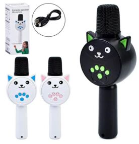 Мікрофон акумулятор FM MP3 MC811