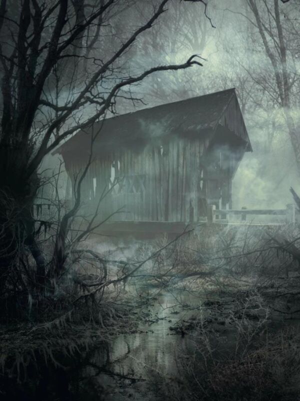 Жахіття данвіча Ціна (цена) 713.80грн. | придбати  купити (купить) Жахіття данвіча доставка по Украине, купить книгу, детские игрушки, компакт диски 1