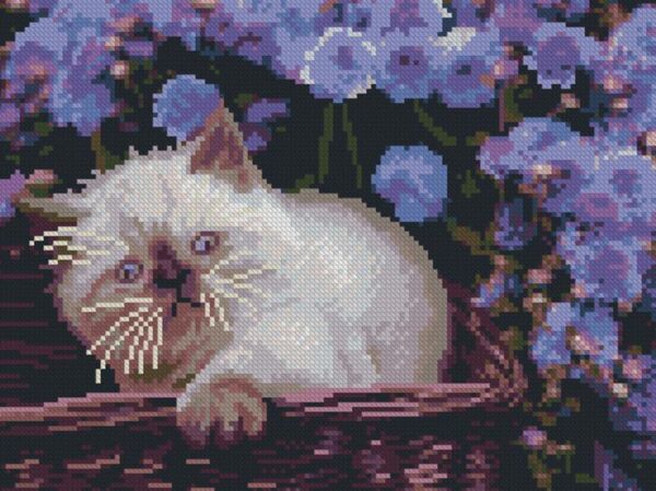 Алмазна мозаїка б/підрамн 30х40 ZAV3040-23 Кошеня Strateg Ціна (цена) 136.37грн. | придбати  купити (купить) Алмазна мозаїка б/підрамн 30х40 ZAV3040-23 Кошеня Strateg доставка по Украине, купить книгу, детские игрушки, компакт диски 0