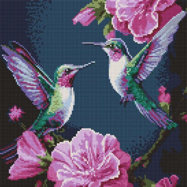 Алмазна мозаїка 40х40 AMO20025 Казкові птахи Ідейка Ціна (цена) 279.90грн. | придбати  купити (купить) Алмазна мозаїка 40х40 AMO20025 Казкові птахи Ідейка доставка по Украине, купить книгу, детские игрушки, компакт диски 0