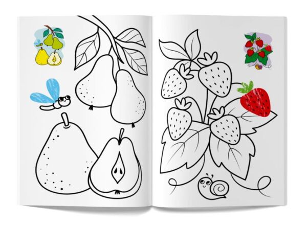 кольорованка фрукти Ціна (цена) 10.73грн. | придбати  купити (купить) кольорованка фрукти доставка по Украине, купить книгу, детские игрушки, компакт диски 3