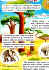світ тварин для малечі подарункова Ціна (цена) 251.50грн. | придбати  купити (купить) світ тварин для малечі подарункова доставка по Украине, купить книгу, детские игрушки, компакт диски 3