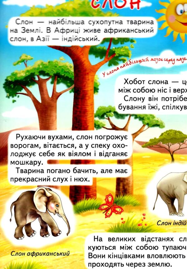 світ тварин для малечі подарункова Ціна (цена) 251.50грн. | придбати  купити (купить) світ тварин для малечі подарункова доставка по Украине, купить книгу, детские игрушки, компакт диски 3