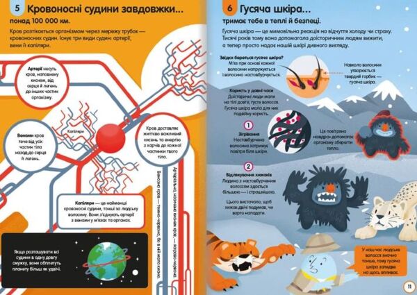 100 фактів про людське тіло Ціна (цена) 366.00грн. | придбати  купити (купить) 100 фактів про людське тіло доставка по Украине, купить книгу, детские игрушки, компакт диски 4