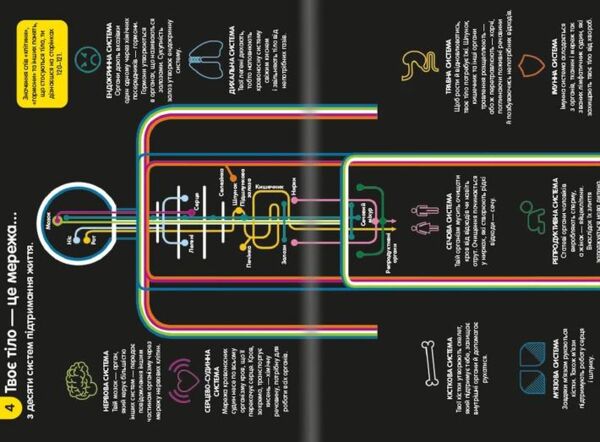 100 фактів про людське тіло Ціна (цена) 366.00грн. | придбати  купити (купить) 100 фактів про людське тіло доставка по Украине, купить книгу, детские игрушки, компакт диски 3