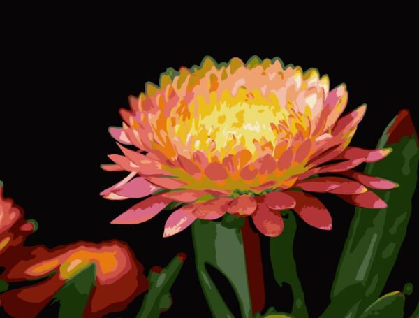 Розпис по номерах 30х40 FH-28 Квітка гербери на чорному фоні Strateg Ціна (цена) 234.41грн. | придбати  купити (купить) Розпис по номерах 30х40 FH-28 Квітка гербери на чорному фоні Strateg доставка по Украине, купить книгу, детские игрушки, компакт диски 0