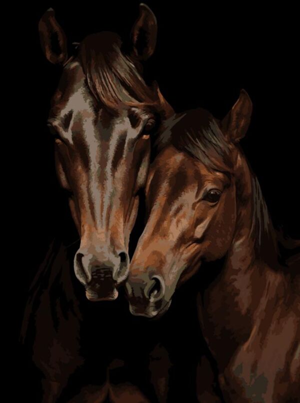 Розпис по номерах 30х40 FH-29 Кінська пара на чорному фоні Strateg Ціна (цена) 234.41грн. | придбати  купити (купить) Розпис по номерах 30х40 FH-29 Кінська пара на чорному фоні Strateg доставка по Украине, купить книгу, детские игрушки, компакт диски 0