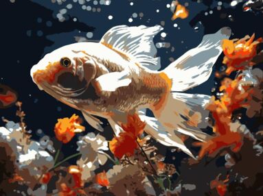 Розпис по номерах 30х40 FH-30 Золота рибка на чорному фоні "Strateg"