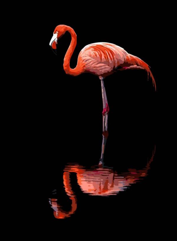 Розпис по номерах 30х40 FH-36 Фламінго на чорному фоні Strateg Ціна (цена) 234.41грн. | придбати  купити (купить) Розпис по номерах 30х40 FH-36 Фламінго на чорному фоні Strateg доставка по Украине, купить книгу, детские игрушки, компакт диски 0