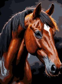 Розпис по номерах 30х40 FH-39 Коричневий кінь на чорному фоні "Strateg"